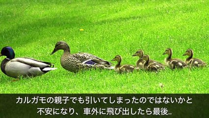 【衝撃】車のタイヤにペットボトルが挟まっていたら警察を呼べ！？