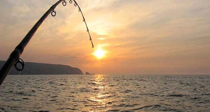 Erzincan'da 83 Kilo Ağırlığında ve 180 Santim Boyunda Dev Turna Balığı Yakalandı