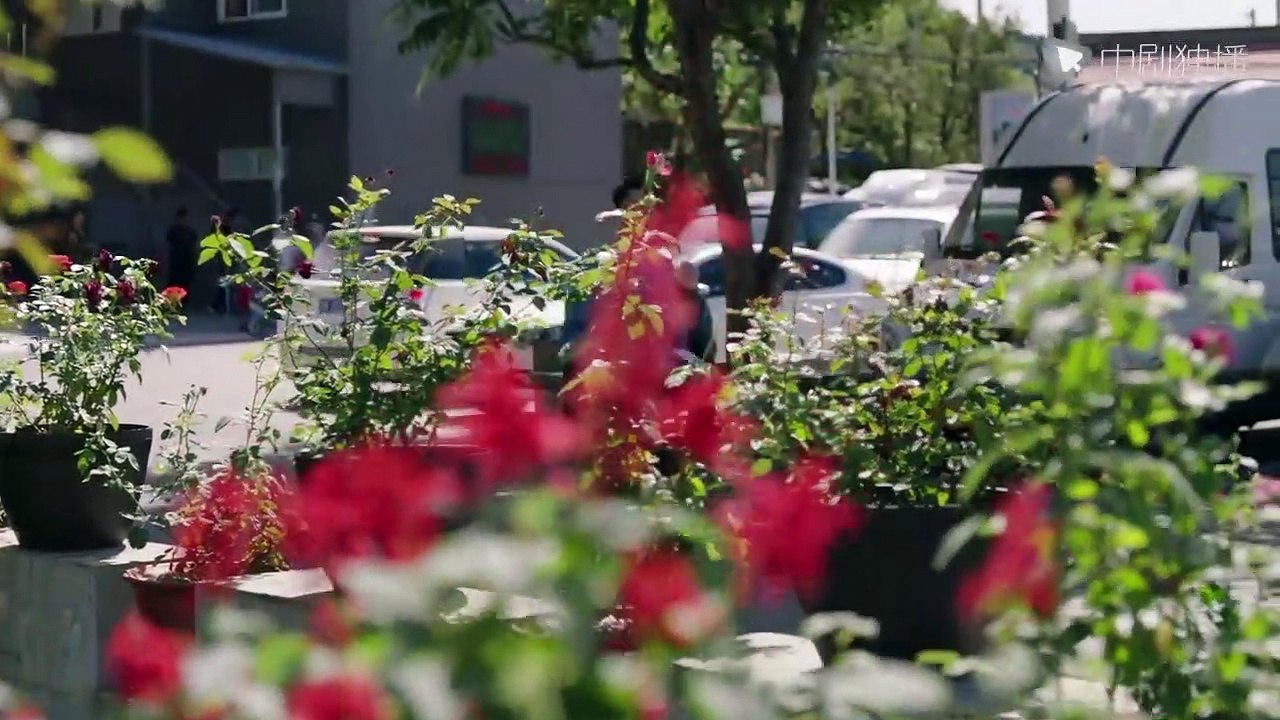 Romanian Istoria Romantică A Iubirii 07 | Povestea de auto-creștere a femeilor la locul de muncă