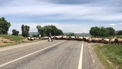 Göçerlerin Ramazanda Günler Süren Zorlu Yolculuğu (1)