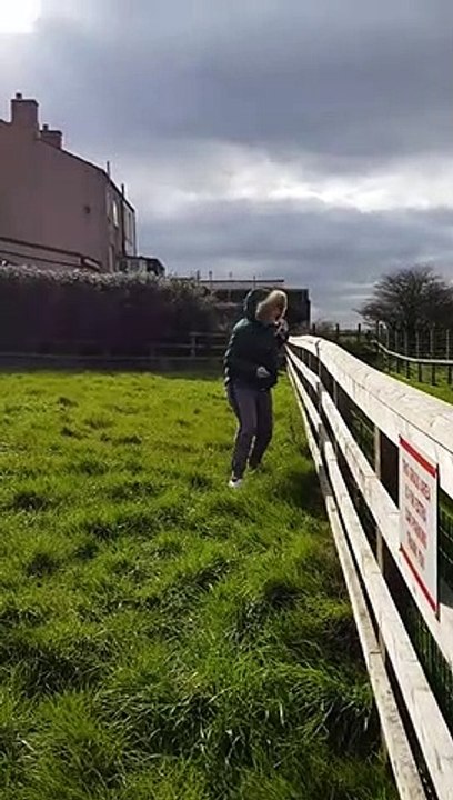 Llama imita los gestos de esta mujer