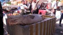 Karasu Nehri'nde 83 kilogram ağırlığında turna balığı yakalandı - ERZİNCAN