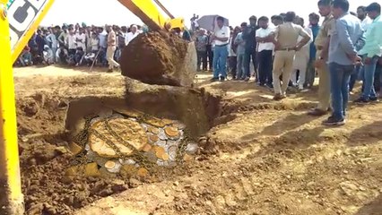 जमीन में गड़ा सोना निकालने के लिए पुलिस-तहसीलदार ने JCB से खुदवाया खेत, जानिए निकला क्या फिर?