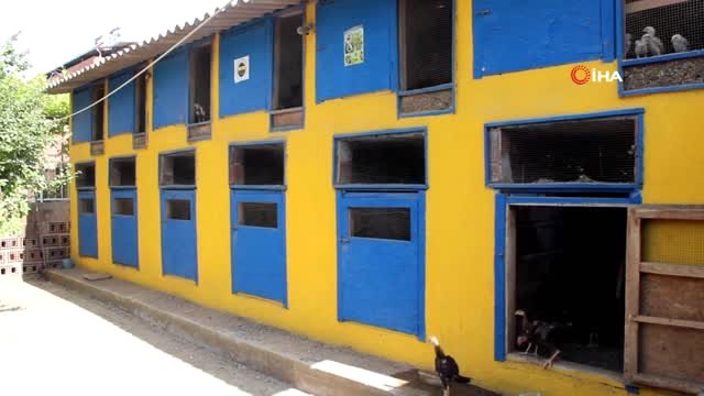 Horozunu Satarak 'Fener Ol' Kampanyasına Katıldı