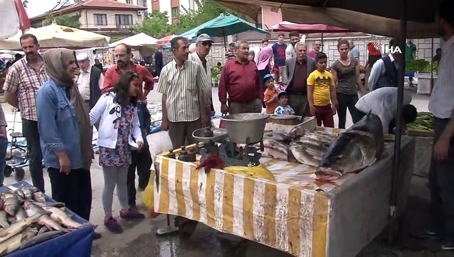 Fırat Nehri'nde oltaya 83 kiloluk dev Turna balığı takıldı