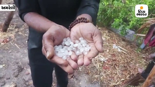 અમરેલીના વાતાવરણમાં પલટો, ખાંભા, સાવરકુંડલા પંથકમાં ગાજવીજ અને કરા સાથે વરસાદ