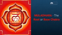 Muladhara the Root Chakra - How To Open And Balance Muladhara Energies