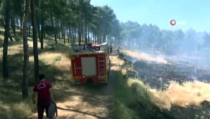 Hatay’da Mesire Alanında Yangın Çıktı