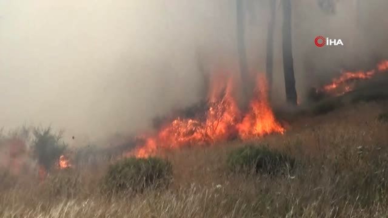 Hatay'da Mesire Alanında Yangın Çıktı