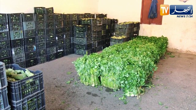 تجارة/ الفرق في الأسعار بين أسواق الجملة والتجزئة يتجاوز التوقعات