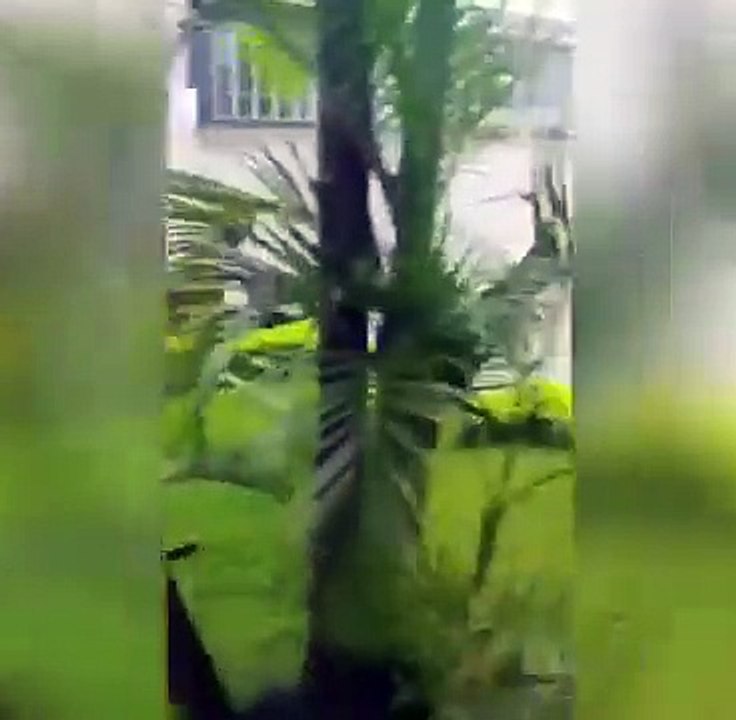 Cenas da chuva que alagou vários pontos da Grande Vitória