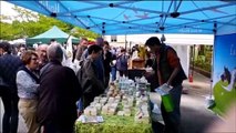 Ambiance et foule au 16e Marché bio et aux plantes de Bar-le-Duc