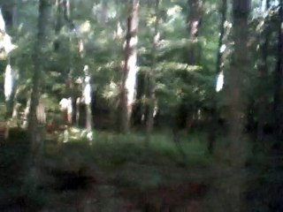 margot labourez les vignes instrumental