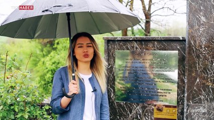 Adım adım bağımsızlığa giden yol: İstiklal Yolu