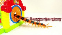 Various All Insect Monster Fumbling Toy Box Step into the Spo Spo Movie for Kids