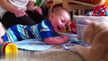 Funny Babies Laughing at Cats
