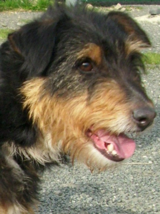 Gretta Spa De Cornouailles concarneau