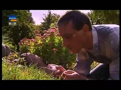 Logbuch der Schöpfung Folge 5 Die Vertreibung der Finsternis