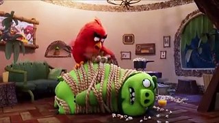 Angry Birds 2 La Película Clip 'Primer' Español Latino