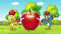 Gallina Pintadita Jugar con manzana gigante - Canciones infantiles