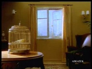 Fenetre pour belle mere