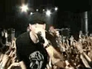 Stress-Rester Soi Meme  31,5 МБ avi