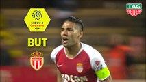 But Radamel FALCAO (26ème) / AS Monaco - Amiens SC - (2-0) - (ASM-ASC) / 2018-19