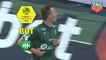 But Robert BERIC (65ème) / AS Saint-Etienne - OGC Nice - (3-0) - (ASSE-OGCN) / 2018-19