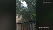 Heavy winds, rain on display as storms drift through Dallas