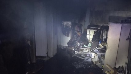 서울 옥인동 빌라 화재...반려견 9마리 폐사 / YTN