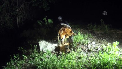 Şiddetli rüzgar etkili oldu - HAKKARİ