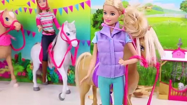 Barbie doll Pet Vet doctor toys play