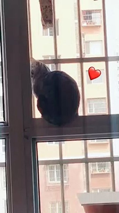 A nice wink.