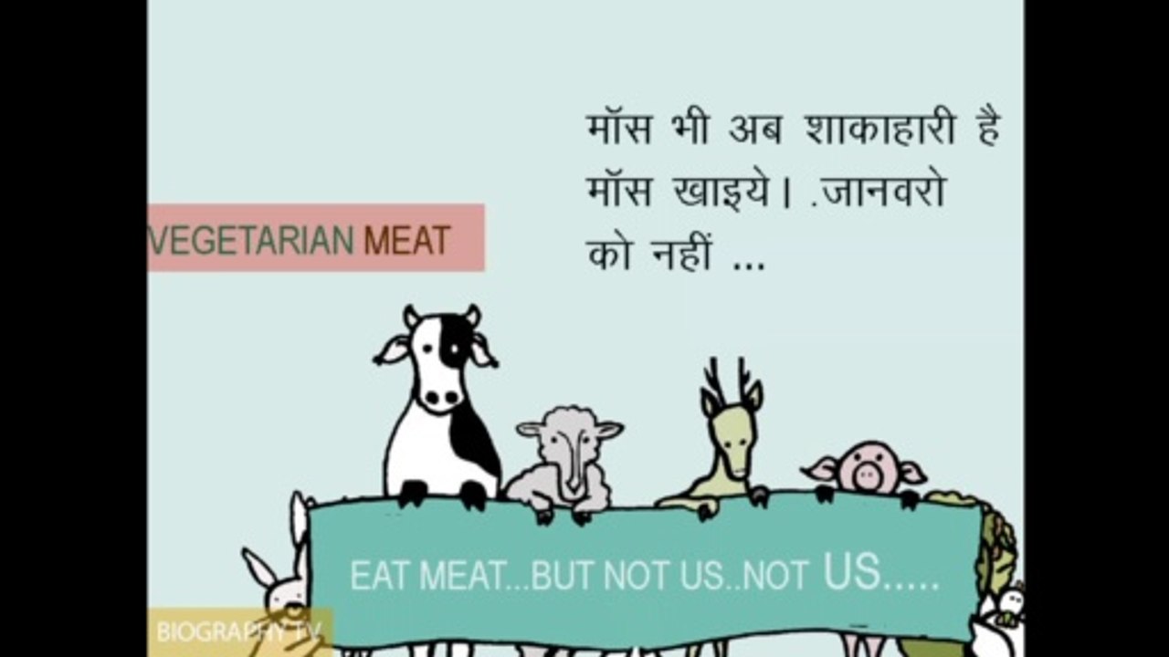 VEGETARIAN CHICKEN
