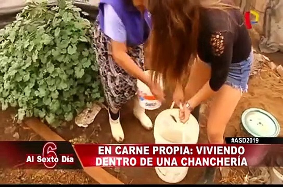 En carne propia: viviendo dentro de una chanchería en las alturas del sur de Lima