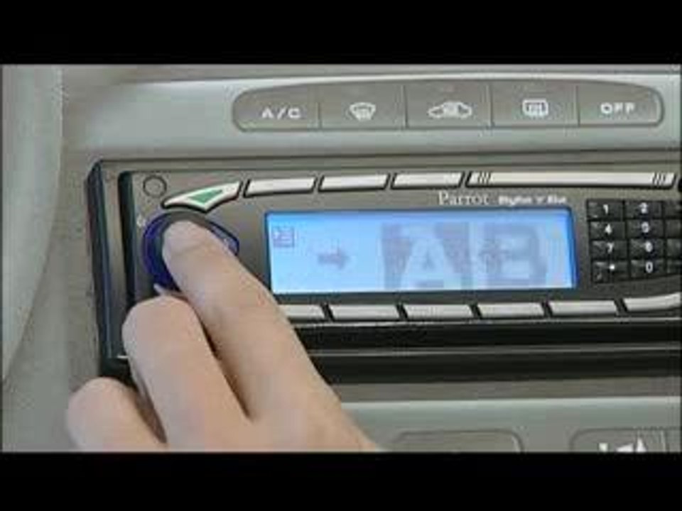 Parrot_Rhythmnblue_video