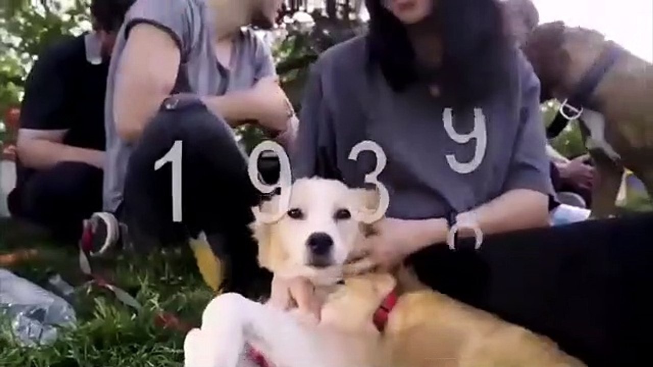 Ankara Büyükşehir Belediyesi’nden 19 Mayıs paylaşımı