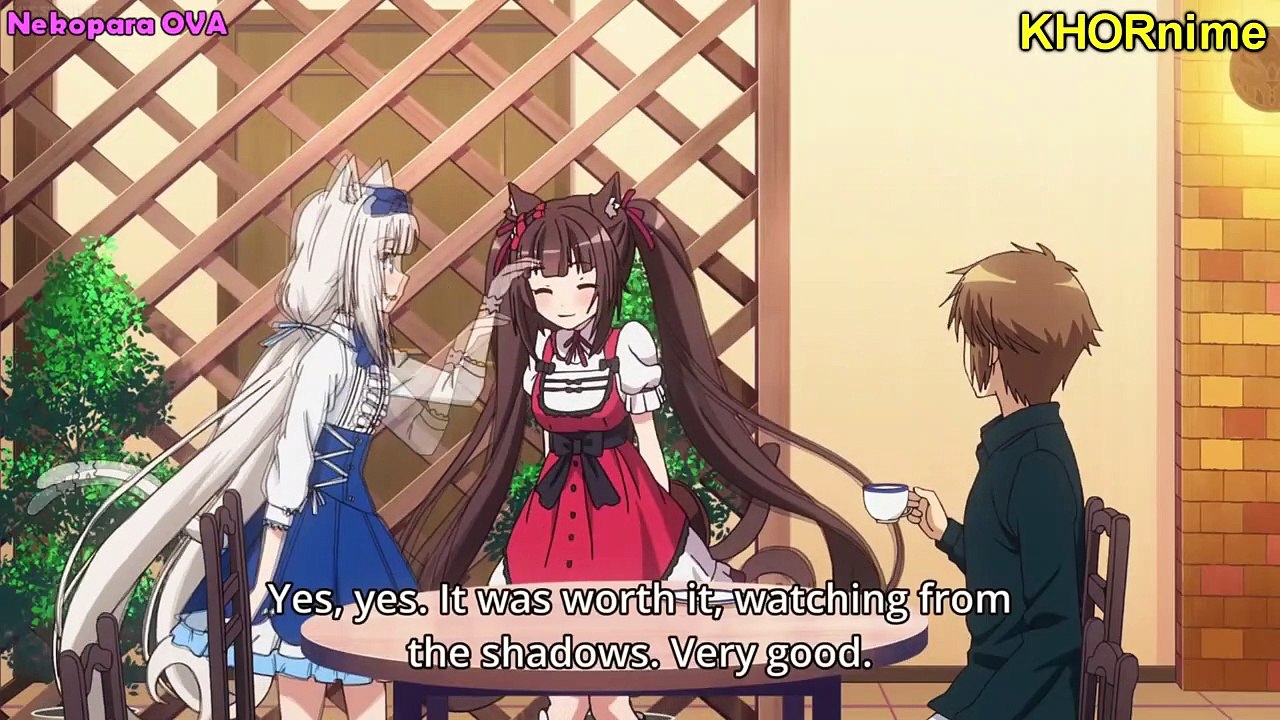 BEST CAT/NEKO GIRL MOMENTS #2 | Funny Cute Anime Compilation | いろんなアニメの猫シーン集