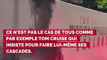 Une hirondelle a fait le printemps : Mathilde Seigner a-t-elle réellement procédé à l'accouchement d'une chèvre dans ce film ?
