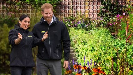 Meghan and Harry living Good Life at Frogmore Cottage as they install an organic vegetable plot