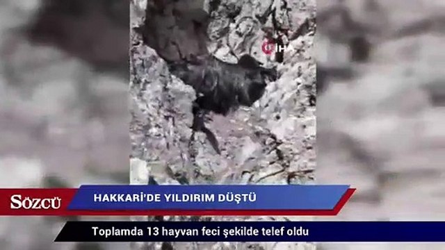 Hakkari’de yıldırım düştü: 13 hayvan telef oldu