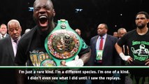 'I'm a special person, a different species' - Wilder on stunning WBC title defence