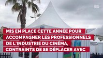 CANNES 2019 : un bébé interdit de tapis rouge !