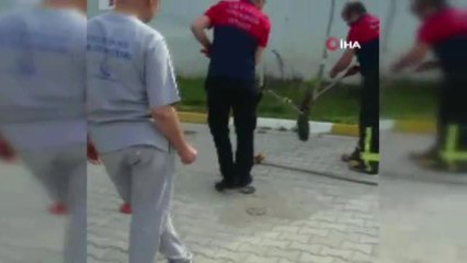 Hastanedeki Yılan Paniğine İtfaiye Son Verdi