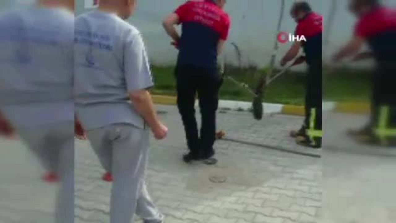 Hastanedeki Yılan Paniğine İtfaiye Son Verdi