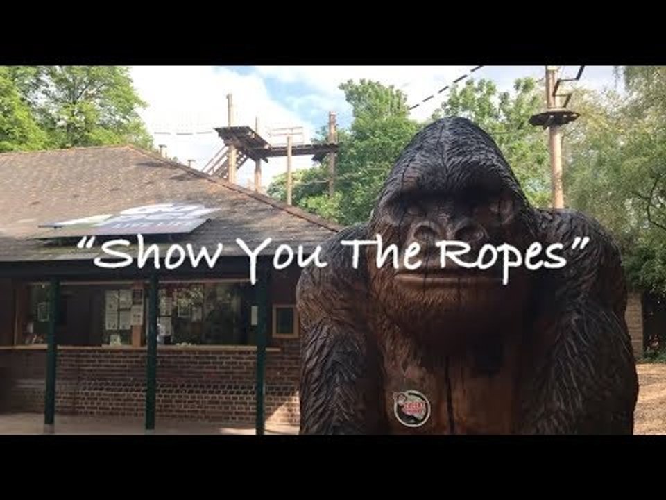 Show You The Ropes
