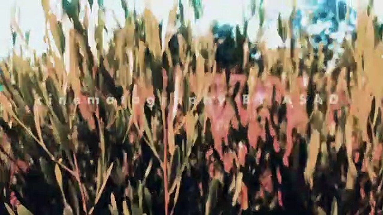 How to edit like this|The world most beautiful relax rivers