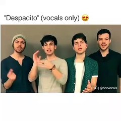 DESPACITO Vocals Only(You need to watch this)