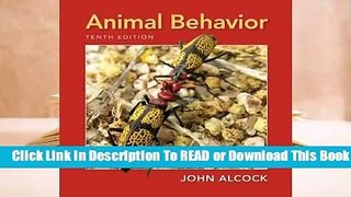 Full E-book Animal Behavior: An Evolutionary Approach  For Online
