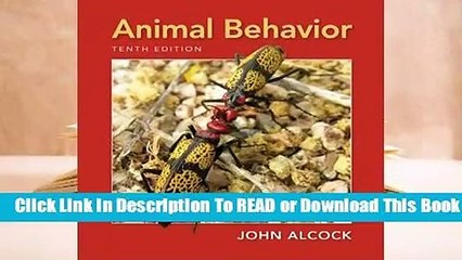 Full E-book Animal Behavior: An Evolutionary Approach  For Online